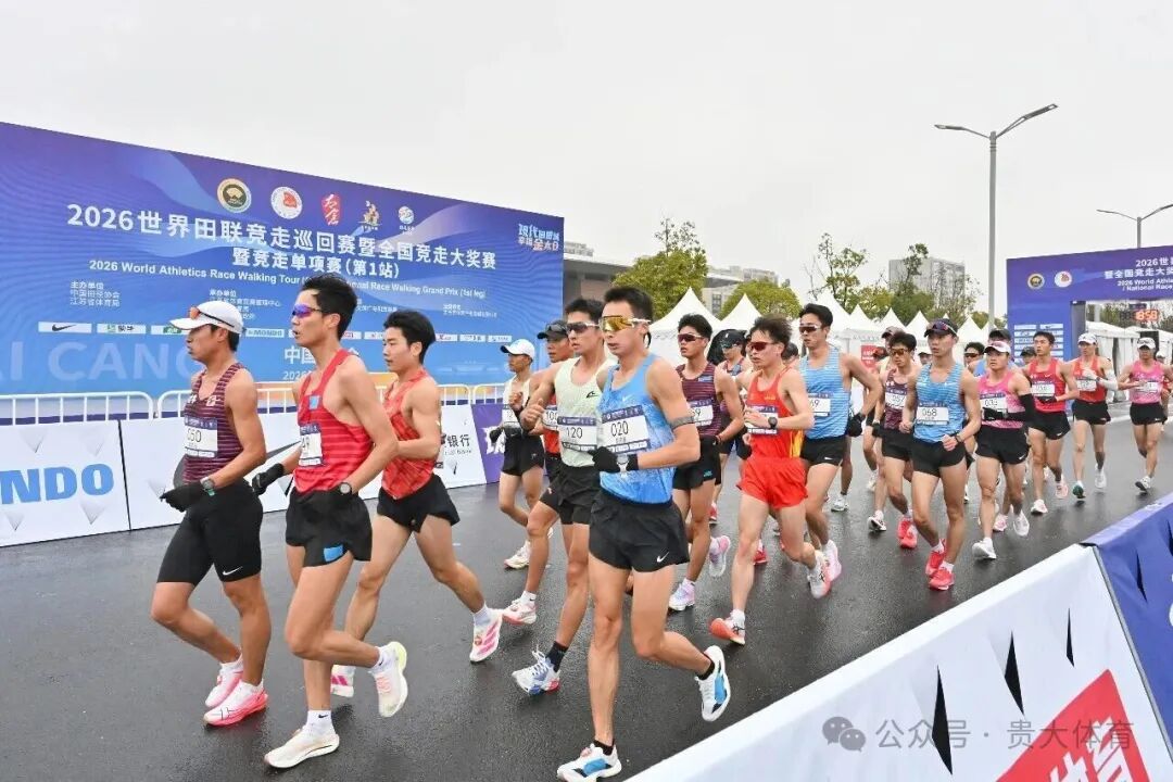 乐球体育官方线路