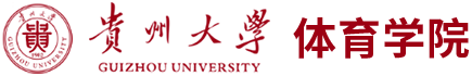 乐球体育官方指定端